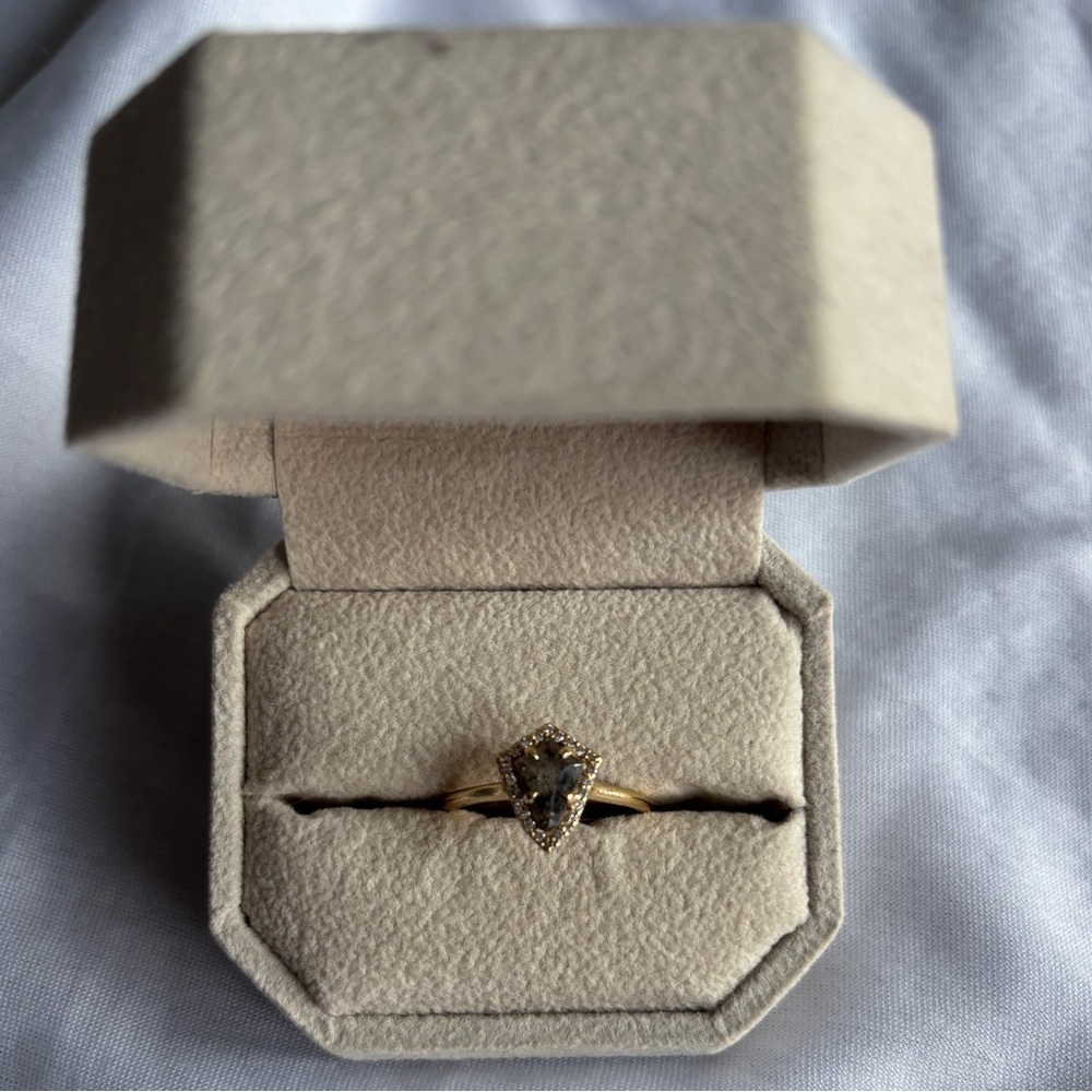 Salt and Pepper Halo Diamond Engagement Ring